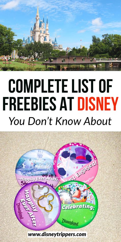 All Things Disney, Disney World Door Decorations, Disney World Hacks 2023, Free Things At Disney World, Unique Disney Autograph Ideas, Disney Freebie, Disney World Must Haves, 1 Day In Disney World Best Route, Pixie Dust Ideas For Disney World