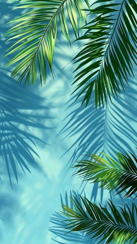 Palm tree leaf backgrounds outdoors. | premium image by rawpixel.com Nature Art Background, Tropical Art Wallpaper, Background Images Drawing, Aesthetic Wallpaper Tropical, Florida Background, Tropical Leaf Background, Palm Leaves Background, Green Phone Wallpaper, Outdoor Wallpaper