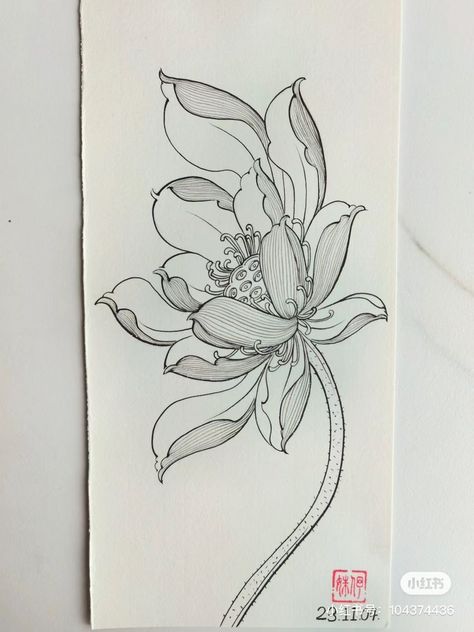 Lotus Flower Neotraditional Tattoo, Asian Lotus Tattoo, Lotus Flower Tattoo Japanese, Japanese Lotus Flower Tattoo Design, Lotus Drawing Tattoo, Japanese Flowers Drawing, Lotus Tattoo Drawing, Traditional Lotus Tattoo, Japanese Flower Drawing