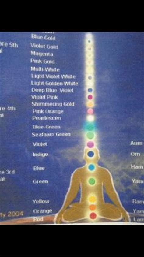 Image result for picture of the higher chakras 8th Chakra, Chakra Awakening, Aura Colors Meaning, Power Yoga Workout, Higher Chakras, Hand Mudras, Chakra Health, Brainwave Entrainment, Chakra Affirmations