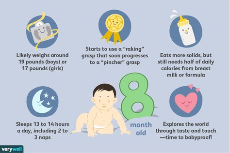 Your 8-Month-Old Baby’s Development 8 Month Milestones Baby, 8 Month Milestones, Developmental Milestones Chart, Month Milestones, Child Development Chart, Baby Development Milestones, Mom Checklist, Early Childhood Education Resources, Milestone Chart