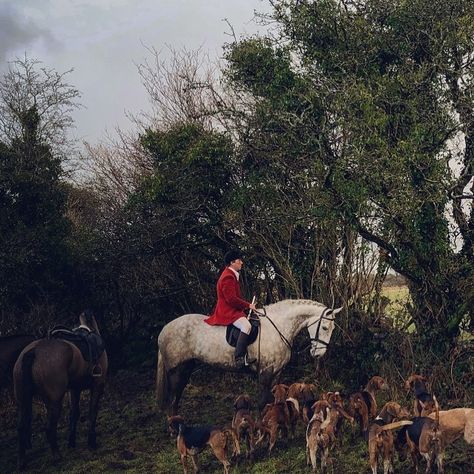 Horse Hunting Aesthetic, Foxhunting Aesthetic, Fox Hunting Aesthetic, Horse Hunting, Hunting Aesthetic, Aesthetic Horses, Gallery Wall Art Prints, Fox Hunt, Equestrian Aesthetic