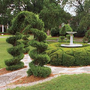 10 Topiary Designs by Pearl Fryar Outdoor Topiary, Topiary Garden, Boxwood Topiary, Topiary Trees, Garden Elements, Garden Pathway, Easy Garden, Garden Structures, Landscaping Plants