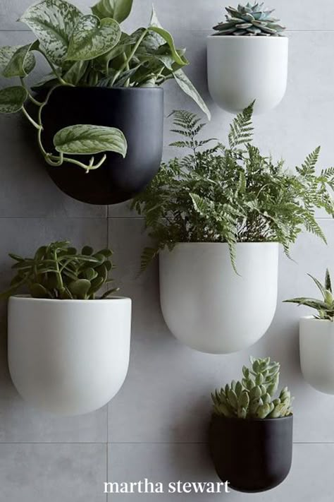 Plant Accent Wall, Wall Mounted Planters Indoor, Plants On Wall, Hanging Wall Planters Indoor, Wall Plants Indoor, Entryway Gallery Wall, Plant Bathroom, Sustainable Store, Terrariums Diy