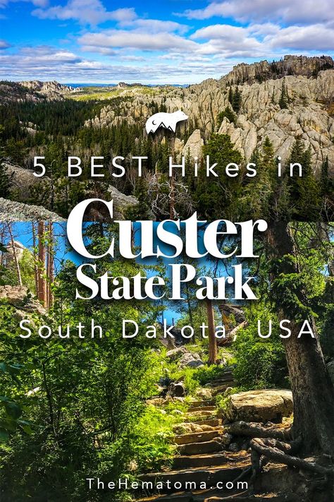 Custer State Park South Dakota, South Dakota Road Trip, South Dakota Vacation, Midwest Road Trip, South Dakota Travel, Yellowstone Trip, Mt Rushmore, Custer State Park, National Park Vacation