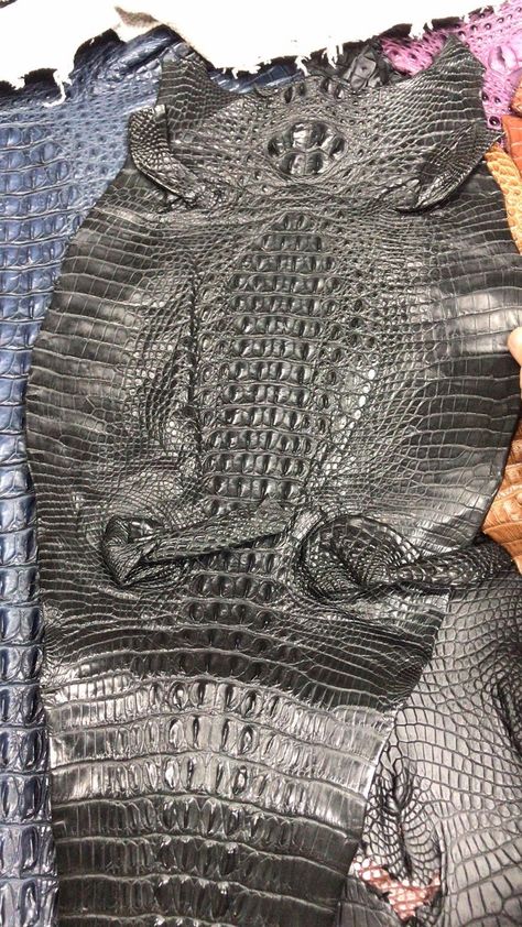 Eye Anatomy, Knee Length Boots, Alligator Skin, Modern Bench, Crocodile Skin, Crocodile Leather, Animal Skin, Men Shirt Style, New Shows