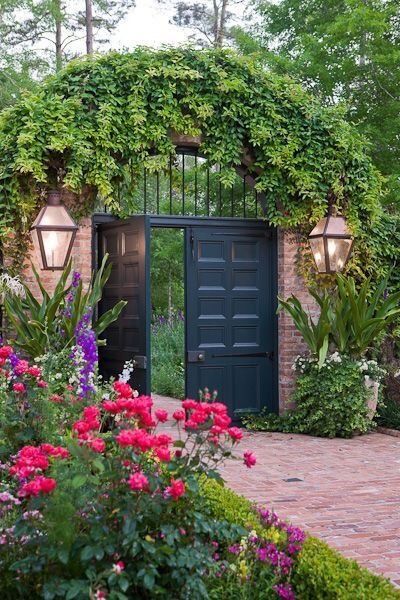 Flower Backyard, Truck Garden, Garden Vines, Alpine Plants, Garden Entrance, Garden Types, Plants Garden, Iron Gate, Garden Doors