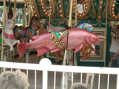 salmon - Guadalupe river park, San Jose Carousel Painting, Carousel Art, Guadalupe River, Carousel Animals, Painted Ponies, Rocking Horses, Round Round, Painted Pony, River Park