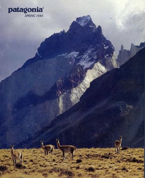 Patagonia Aesthetic, Outdoor Magazine, Patagonia Vintage, Vintage Poster Design, Vintage Patagonia, Best Ads, Nature Posters, Picture Collage Wall, New Poster