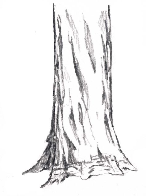 How to Draw Trees: vertical cracks - John Muir Laws Tree Trunk Drawing, How To Draw Trees, Draw Trees, Tree Drawings Pencil, Tree Textures, Texture Drawing, Tree Sketches, Redwood Tree, Karakter Disney