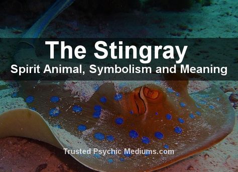 Stingray Spirit Animal Meaning, Stingray Tattoo Meaning, Sting Ray Tattoo Meaning, Stingray Meaning, Stingray Quotes, Stingray Spiritual Meaning, Spotted Stingray Tattoo, Manta Ray Symbolism, Stingray Symbolism