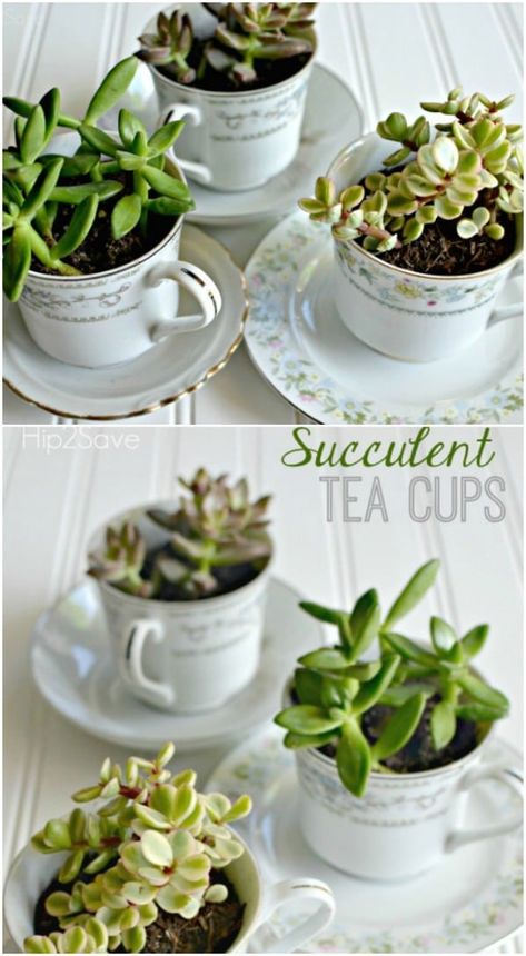 50 Brilliant Repurposing Ideas To Turn Old Kitchen Items Into Exciting New Things {With tutorial links} Teacup Plants, Repurposed Kitchen, Repurposing Ideas, Teacup Crafts, Repurposed Items, Old Kitchen, Succulent Plants, Succulents Diy, Kitchen Area