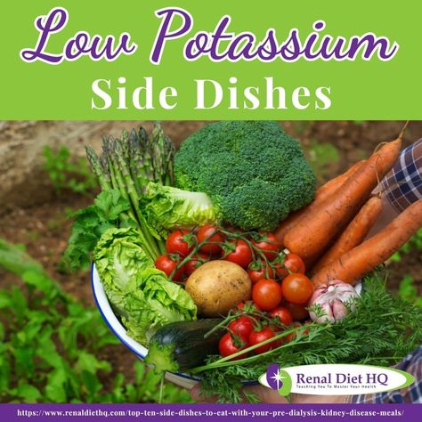 Explore a variety of delicious low potassium side dishes to maintain a healthy diet. Discover flavorful recipes with reduced potassium content, perfect for individuals with specific dietary needs. Kidney Diet Food Lists, Renal Friendly Recipes, Renal Recipes, Kidney Healthy Foods, Kidney Friendly Recipes Renal Diet, Ckd Recipes, Kidney Diet Recipes, Low Potassium Recipes, Healthy Kidney Diet