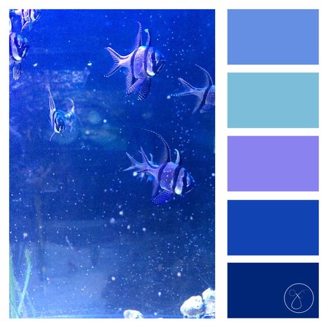 Aquarium (Colour Palette) Undersea Color Palette, Sea Colour Pallete, Sea Inspired Color Palette, Under Water Colour Palette, Colour Palette Ocean, Underwater Colour Palette, Octopus Color Palette, Ocean Pallet Color, Aquarium Color Palette