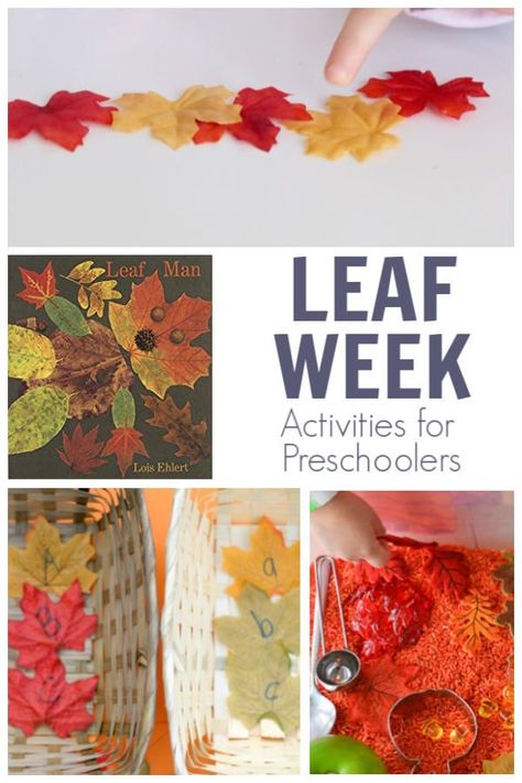 A week of simple activities for preschoolers on the theme of leaves featuring the book Leaf Man by Lois Ehlert from the Virtual Book Club for Kids.  #fallthemes #preschoolactivities #vbcforkids Leaf Activities Preschool Learning, We're Going On A Leaf Hunt Preschool, Leafs Theme Preschool, Were Going On A Leaf Hunt, Going On A Leaf Hunt Preschool, We’re Going On A Leaf Hunt Activities, The Leaf Thief Activities Preschool, Going On A Leaf Hunt Activities, Leaf Hunt Preschool