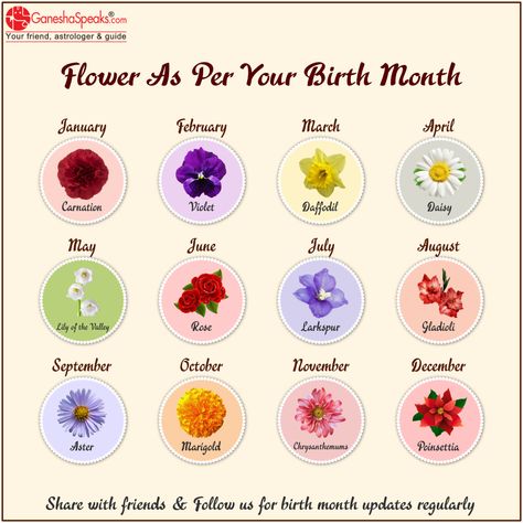 Aquarius Flower Birth Month, Sagittarius Flower Birth Month, Taurus Flower Birth Month, Gemini Flower Tattoo Birth Month, Libra Birth Flower Tattoo, Libra Flower Tattoo Birth Month, Aries Flower Tattoo Birth Month, Pisces Flower Tattoo Birth Month, Sagittarius Birth Flower