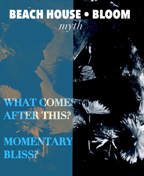 Blue beach house lyric poster Myth Beach House, Beach House Poster Band, Beach House Lyrics, Beach House Bloom, Beach House Poster, Beach House Band, Blue Beach House, Pictures For Wall, House Poster