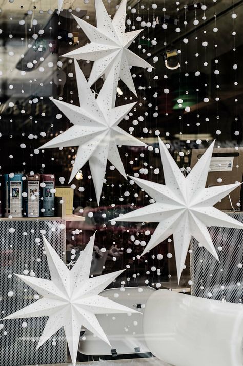 Window Displays, Window Display, Stars, Natal