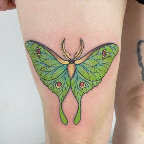 Georgia Tattoos, Amelia Moore, Grizzly Tattoo, Baker Tattoo, Moth Tattoo Meaning, Lunar Moth Tattoo, Luna Moth Tattoo, Tattoo Cool, Symbols Of Strength Tattoos