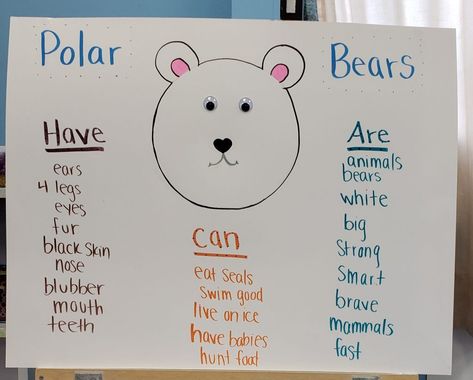 At Majestic Harbor Children’s Center in Gloucester, Massachusetts the PS2 class had a bunch of fun learning about Polar Bears by using a, “Can, Have, Are,” chart. Polar Bear Writing, Polar Bears Preschool, Polar Bear Unit, Polar Bears Activities, Arctic Animals Preschool, Bears Preschool, Explanatory Writing, Animals Jokes, Penguins And Polar Bears