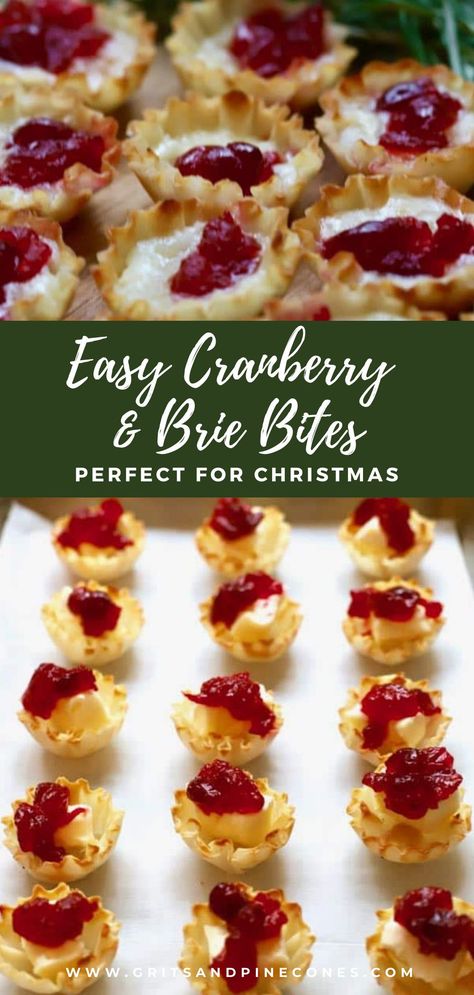 Cranberry Tartlets, Brie And Cranberry, Cranberry Appetizer, Cranberry Brie Bites, Cranberry Bites, Brie Cranberry, Best Holiday Appetizers, Cranberry Brie, Holiday Appetizers Easy