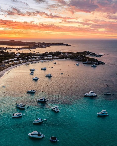 📍 Rottnest, WA 📷 @ospreycreative #westisbest #rottnest #rottnestisland #quokka #soperth #perthnow #needabreak #justanotherdayinwa #seeperth #perthlife #westernaustralia #australia #tourismwa #perthisokay #visitwa #thisiswa #takemetoaustralia #travelaustralia #urbanlistperth #perthsbest #rotto #quokkas #quokkahub #helloperth #westisbest Sorrento Australia, Sorrento Beach, Beach Instagram, Sorrento, Beautiful Nature Scenes, Australia Travel, Nature Scenes, Western Australia, Joinery