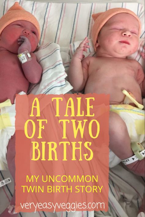 All birth stories are unique, but what happened in my twin birth story only happens in about 2% of twin birth stories. Having twins is a great adventure, and the truth about a twin birth plan (and twin pregnancy) is you can never fully know what to expect! Easy Veggie Garden, Twins Schedule, Sleeping Twins, Having Twins, Raising Twins, Twin Baby Boys, Twin Life, Pregnancy Labor, Water Birth