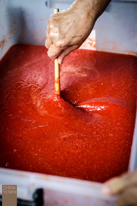 Traditional Italian Tomato Sauce, Italian Tomato Sauce Canning Recipe, How To Make Passata Sauce, Tomato Passata Recipe, Passata Recipes, Passata Sauce, Tomato Passata, Preserving Tomatoes, Italian Family