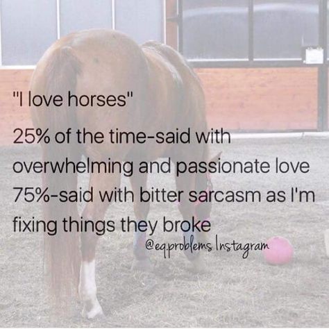 Cowgirl Problems, Equestrian Memes, Funny Horse Memes, Horses Funny, Horse Meme, Horse Humor, Horse Jokes, Inspirational Horse Quotes, Horse Riding Quotes