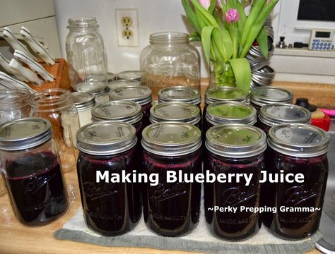 Dehydrated Blueberries, Blueberry Jam Recipe, Pressure Canning Recipes, Canned Blueberries, Lemonade Concentrate, Tasty Tuesday, Blueberry Syrup, Blueberry Juice, Blueberry Lemonade