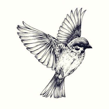 11 Great Sparrow Bird Tattoo Designs Sparrow Tattoo Design, Teagan White, Vogel Tattoo, Tattoo Bird, Sparrow Tattoo, Bird Flying, Desenho Tattoo, Bird Art Print, Birds Tattoo