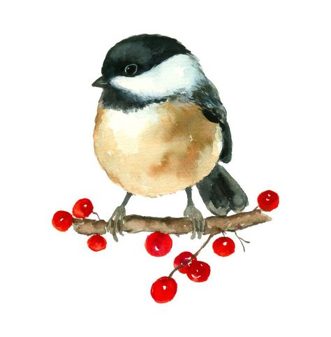 Watercolour Chickadee, Winter Birds Painting, Chickadee Drawing, Watercolor Chickadee, Chickadee Art, Bird Paintings On Canvas, Watercolour Christmas, Christmas Birds, Chickadee Bird