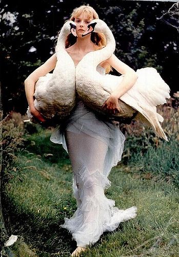 Swan Girl by Violet Folklore, via Flickr Tim Walker Photography, Mode Editorials, White Birds, Magazine Vogue, Tim Walker, Vogue Uk, Vogue Japan, Foto Art, Trik Fotografi