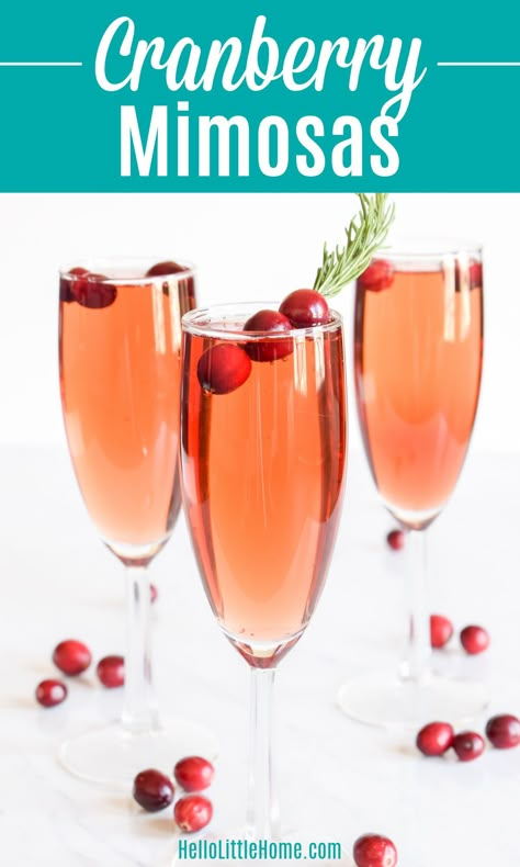 Christmas Mimosa Recipe, Cranberry Mimosa Recipe, Best Mimosa Recipe, Cranberry Mimosas, Cranberry Mimosa, Mimosa Cocktail, 2 Ingredient Recipes, Mimosa Recipe, Cranberry Cocktail