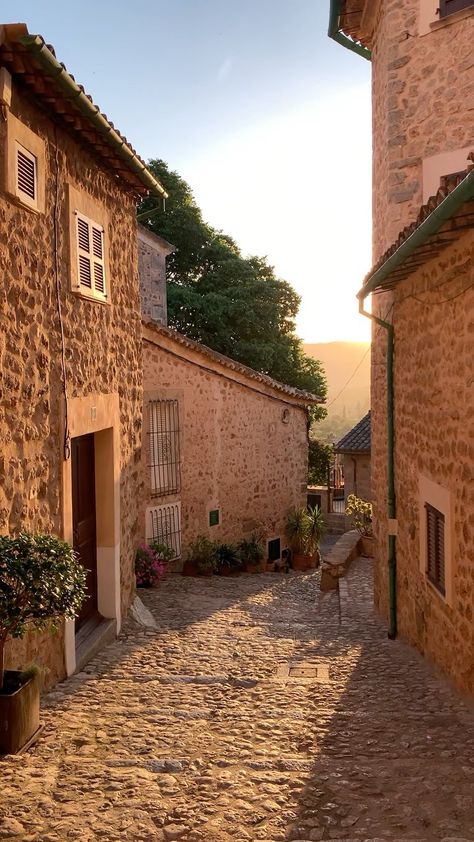 yoli_and_otis on Instagram: Spring, I love you 🌸 Daily Life Aesthetic, Yoli And Otis, Italy 1983, Somewhere In Northern Italy 1983, Italian Vibes, Living Aesthetic, Vision 2024, Adorable Pictures, Europe Aesthetic