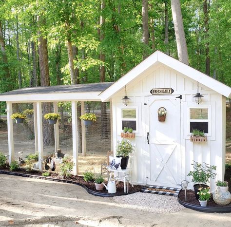 Shed Chicken Coop, Cute Chicken Coops, Chicken Coop Garden, Chicken Shed, Backyard Chicken Coop Plans, Diy Chicken Coop Plans, Backyard Chicken Farming, Coop Design, Chicken Coop Designs