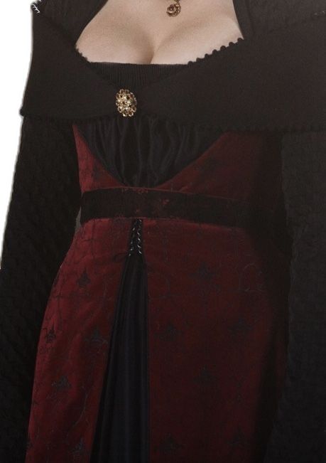 House Targaryen Fashion, House Targaryen Dresses, Gothic Medieval Dress, Targaryen Dresses Aesthetic, House Targaryen Dress, Targaryen Aesthetic Outfits, House Of The Dragon Inspired Dresses, House Of The Dragon Outfit Ideas, Targaryen Dress Aesthetic