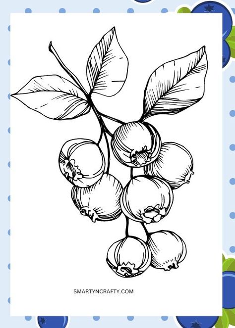 Cotton Branches, Garden Illustration, Fruit Art, Ink Illustrations, Skin Art, Illustration Vector, Botanical Illustration, Ink Art, 그림 그리기