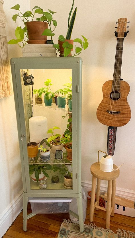 here's my converted IKEA fabrikor! my spring props are living it up on the top shelf! Humidity Cabinet For Plants, Ikea Cabinet Plants, Plant Storage Indoor, Ikea Plant Shelf, Ikea Plant Cabinet, Plant Cabinets, Green House Ikea Cabinet, Ikea Plant Cabinet Greenhouse, Plant Showcase