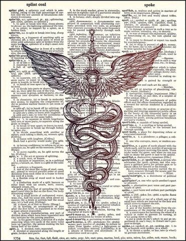 Vintage Medical Art, Medical Artwork, Christian Drawings, Medical Decor, Medical Wallpaper, Biology Art, Newspaper Art, Medical Symbols, Book Page Art