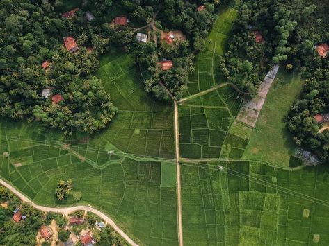 Agricultural Land, Professional Lightroom Presets, Tromso, Stavanger, Green Lifestyle, Simple Green, Aerial Photo, Eco Friendly House, Birds Eye View