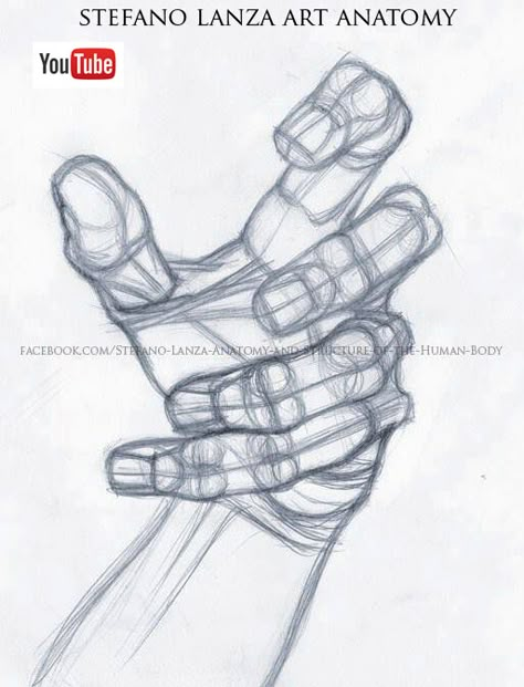 Hand Drawing Holding Something, Stefano Lanza, Hands Study, Hand Studies, Hand Study, Holding Something, Drawing Hands, Hand Drawings, Hand Drawing Reference