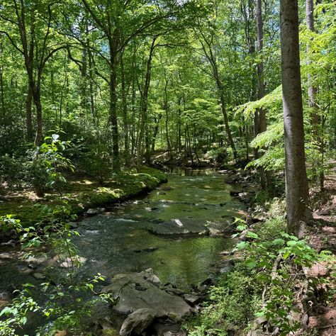 The creek today Green Park, May 1, Album Covers, Green, On Instagram, Quick Saves, Instagram