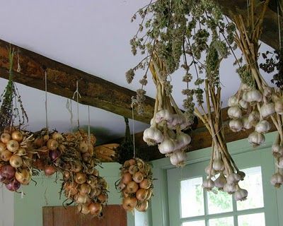 Garlic Hanging Kitchen, Hanging Garlic In Kitchen, Hanging Garlic To Dry, Garlic Decor, Garlic Drying, Hanging Garlic, Garlic Hanging, Drying Garlic, Garlic Garden