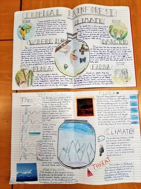 Non Chronological Report, Year 6 English, Non Chronological Reports, Talk 4 Writing, Rainforest Activities, Geography Classroom, Teaching Displays, Double Page Spread, English Ideas