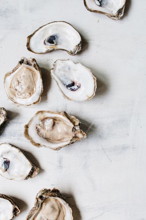 Minimal & Classy Feminine Tomboy, Oyster Recipes, Kind Of Blue, State Of Grace, Wine And Dine, Winter Photography, Creative And Aesthetic Development, Food Styling, Food Photo