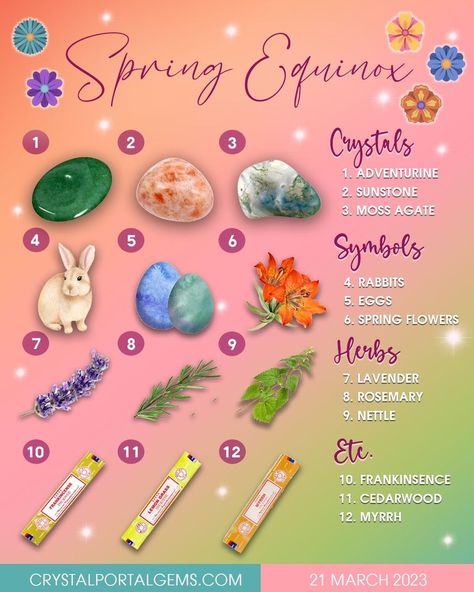 Ostara Flowers, Witch Spring, Spring Blessings, Green Witchcraft, Grimoire Book, Vernal Equinox, Celebration Day, Spring Equinox, Easter Traditions