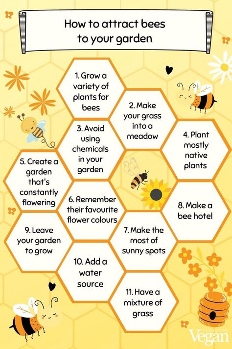 11 top gardening tips for attracting bees to your garden Plants For Bees, Honey Facts, Summer Entertaining Recipes, Bee Friendly Plants, Bee Hotel, Bee Colony, Bug Hotel, Eco Friendly Garden, Attracting Bees