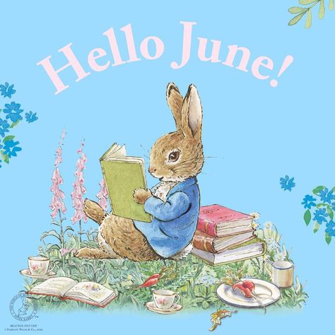 Peter Rabbit Wallpaper, Beatrix Potter Illustrations, Peter Rabbit Birthday, Rabbit Birthday, Peter Rabbit And Friends, Happy June, Hello April, Hello June, Hello August