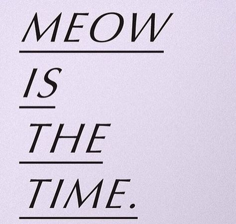 Meow is the time x Quotes For Cats, Kitten Quotes, Cat Attack, Cat Puns, Cat Quotes, Here Kitty Kitty, Animal Quotes, I Love Cats, Cats Meow